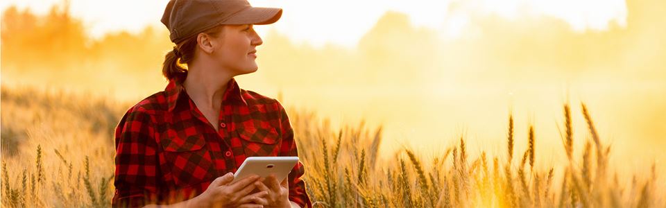 Farming and internet of things