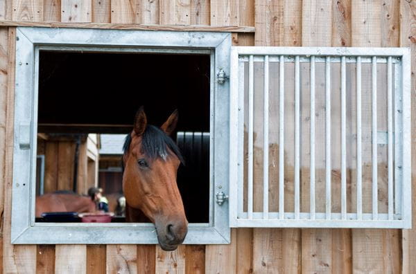 Farm diversification insurance, insure equine livery, horse stables