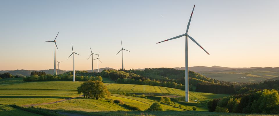 Wind turbines in a field producing renewable energy